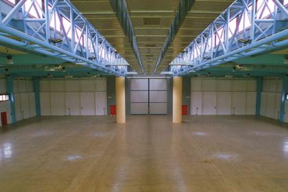 Multi-purpose venue in Malpensa