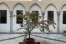 Exhibition space in the Missori area