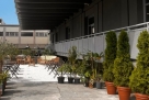 New industrial open space in Mecenate